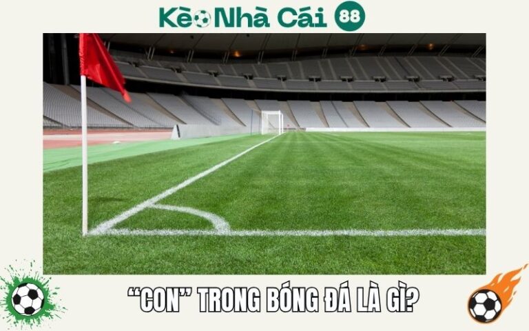 “Con” Trong Bóng Đá Là Gì? Giải Thích Đơn Giản, Dễ Hiểu Nhất 74 “Con” Trong Bóng Đá Là Gì? Giải Thích Đơn Giản, Dễ Hiểu Nhất